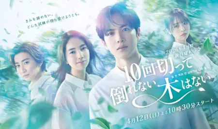 Дорама Любое дерево рухнет, если рубить его без устали / 10 Kai Kitte Taorenai Ki wa Nai / 10回切って倒れない木はない  