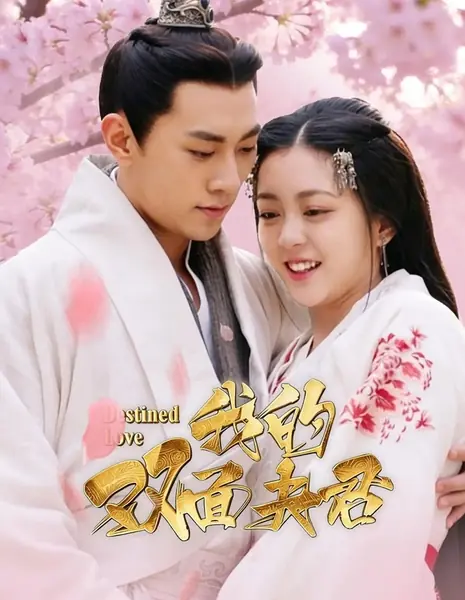 Предначертанная любовь / Destined Love /  我的双面夫君 / Wo De Shuang Mian Fu Jun