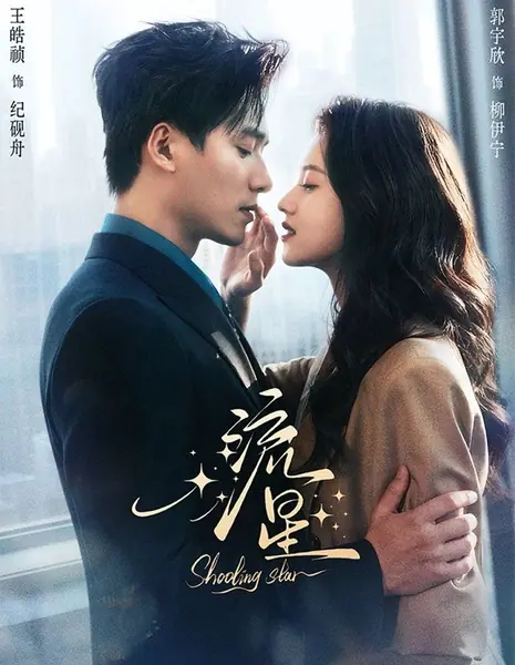 Падающая звезда / Shooting Star / 流星 / Liu Xing