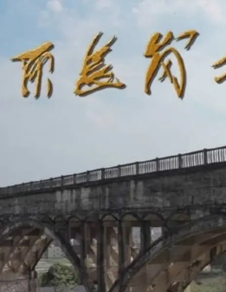 Любовь к Чанганпо / Qing Ding Zhang Gang Po /  情定长岗坡