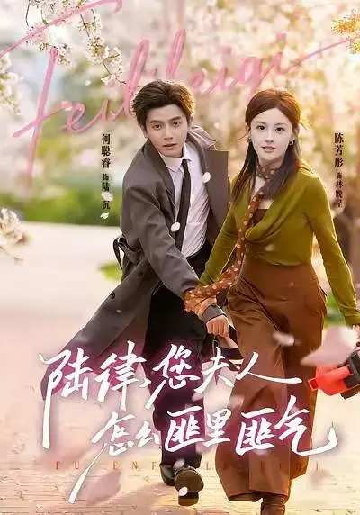 Дорама Господин Лу, ваша жена  - разбойница / Lawyer Lu, Why Is Your Wife Acting So Unruly / 陆律,您夫人怎么匪里匪气 / Lu Lü, Nin Fu Ren Zen Me Fei Li Fei Qi