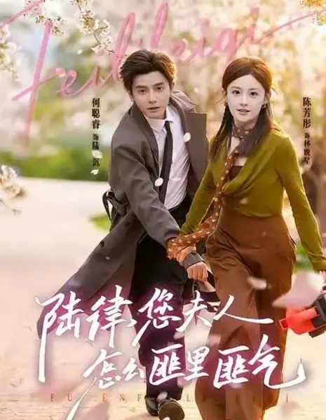 Господин Лу, ваша жена  - разбойница / Lawyer Lu, Why Is Your Wife Acting So Unruly / 陆律,您夫人怎么匪里匪气 / Lu Lü, Nin Fu Ren Zen Me Fei Li Fei Qi