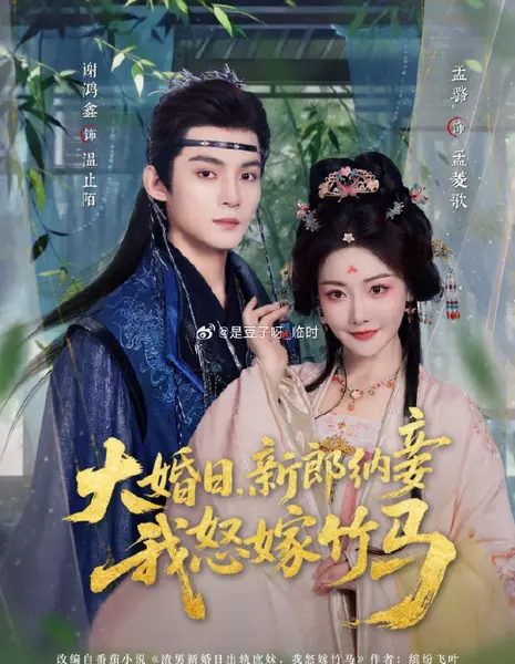 Я вышла замуж за друга / On Wedding Day, Groom Took a Concubine / 大婚日,新郎纳妾我怒嫁竹马 / Da Hun Ri, Xin Lang Na Qie Wo Nu Jia Zhu Ma