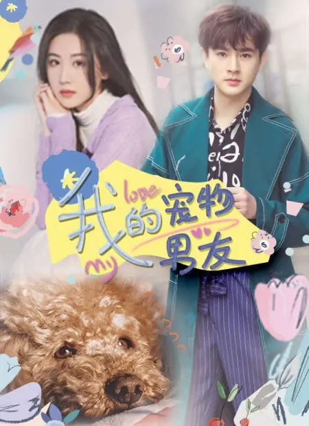 Дорама Мой любимый парень / My Pet Boyfriend /  我的宠物男友