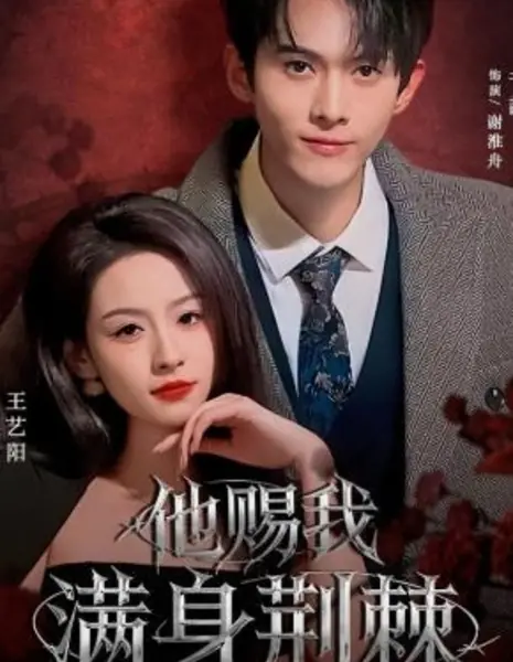 Он одарил меня шипами / Ta Ci Wo Man Shen Jing Ji / 他赐我满身荆棘