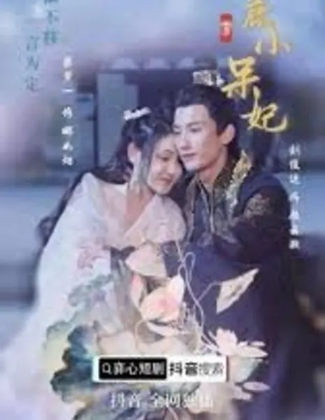 Очаровательная принцесса-шпион 3 / Wo Di Xiao Dai Fei Season 3 /  卧底小呆妃 第三季