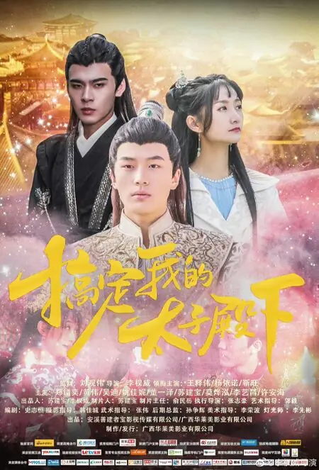 Дорама Роман наследного принца и принцессы / Tai Zi Dian Xia De Gong Zhu Yuan /  太子殿下的公主缘