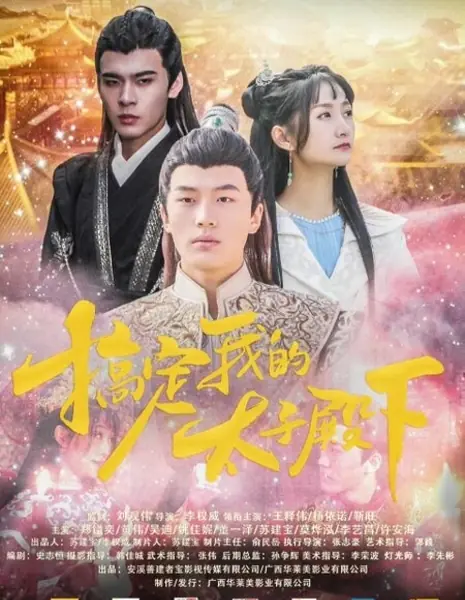 Роман наследного принца и принцессы / Tai Zi Dian Xia De Gong Zhu Yuan /  太子殿下的公主缘