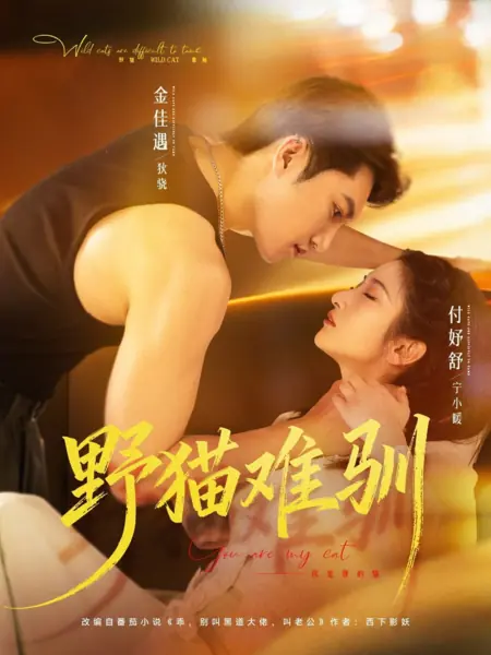 Дорама Дикую кошку трудно приручить / Untamed Wildcat / 野猫难驯 / Yemao Nan Xun