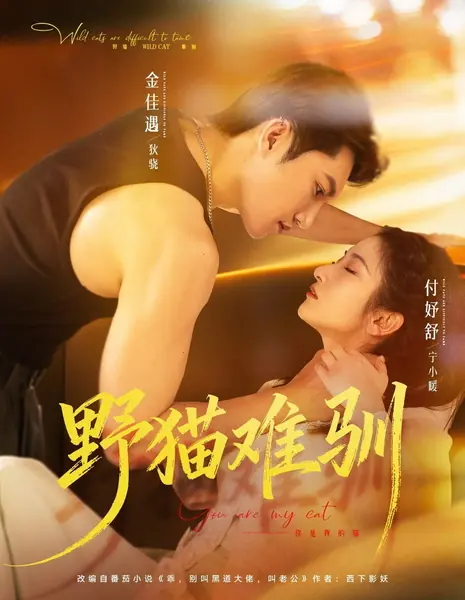 Дикую кошку трудно приручить / Untamed Wildcat / 野猫难驯 / Yemao Nan Xun
