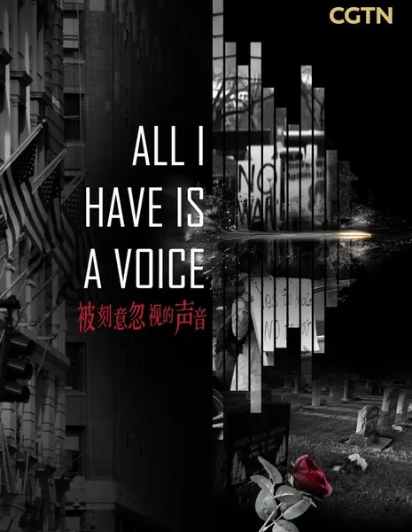 Всё, что у меня есть, — это голос / All I Have Is a Voice  /  被刻意忽视的声音