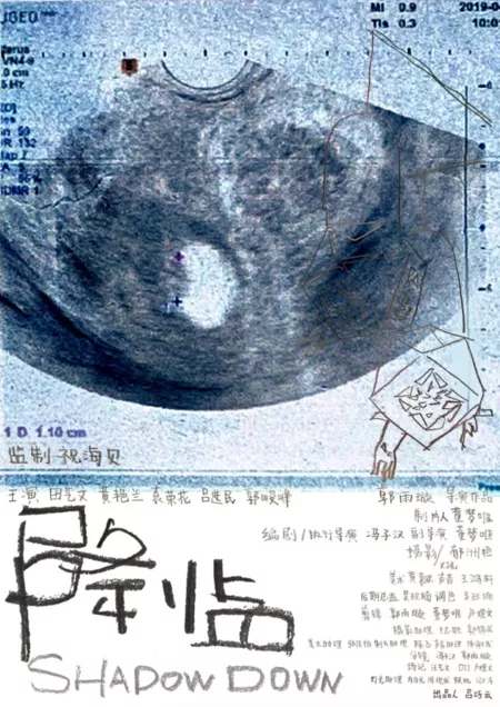 Фильм Опустилась тень / Shadow Down  /  降临