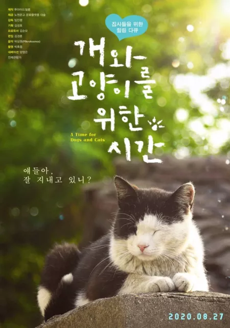 Фильм Время кошек и собак / A Time for Dogs and Cats /  개와 고양이를 위한 시간 /  gaewa goyangireul wihan siga