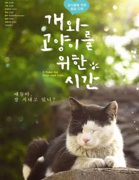 Время кошек и собак / A Time for Dogs and Cats /  개와 고양이를 위한 시간 /  gaewa goyangireul wihan siga