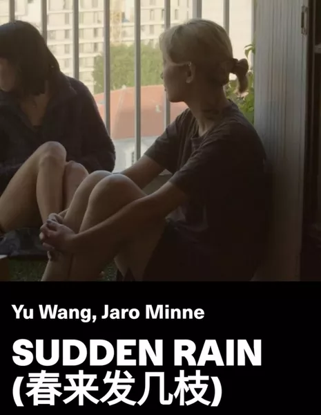 Внезапный дождь / Sudden Rain  /  春来发几枝