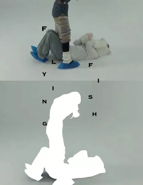 Летучая рыба / Flying Fish  /  会飞的鱼