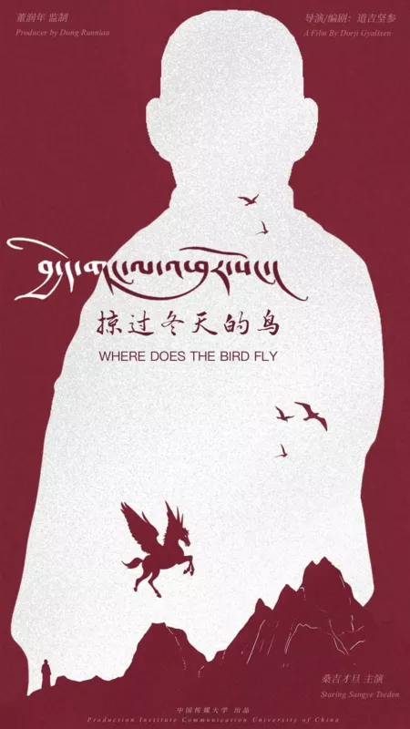Фильм Куда летит эта птица / Where Does the Bird Fly  /  掠过冬天的鸟