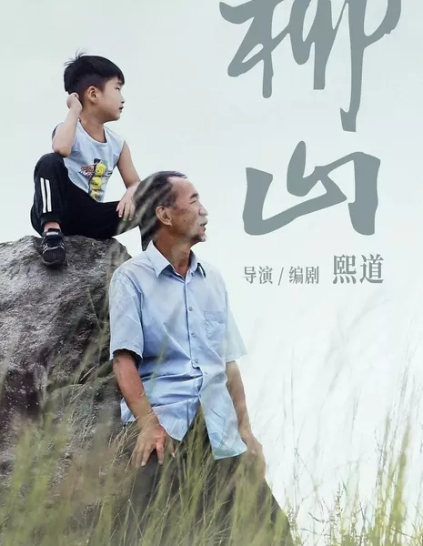 Дом / Home  / 柳山