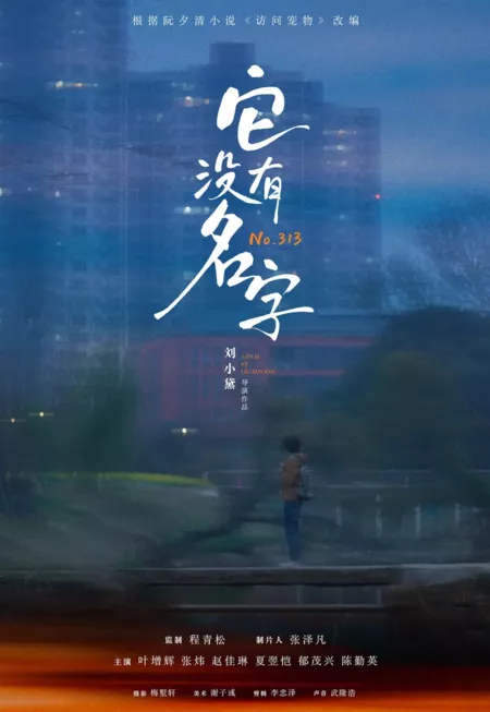Фильм № 313 / No. 313  /  它没有名字