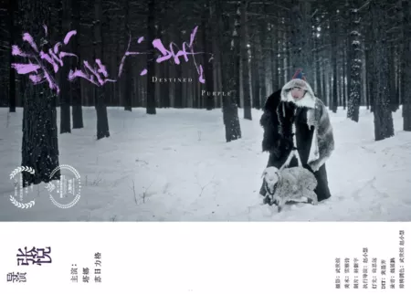 Фильм Предопределенный фиолетовый / Destined Purple  /  紫色小羊