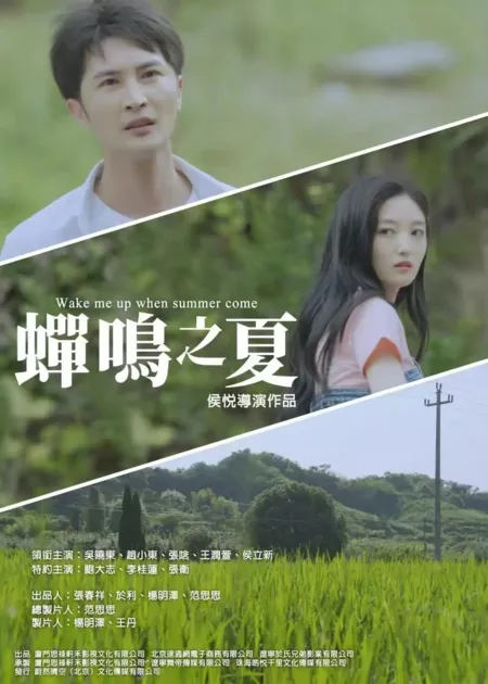 Фильм Разбуди меня, когда наступит лето / Wake Me up When Summer Come / 蟬鳴之夏