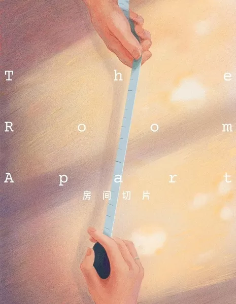 Комната / The Room Apart  /  房间切片
