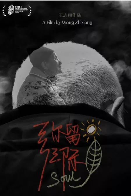 Фильм Душа / Soul /  弥留之际