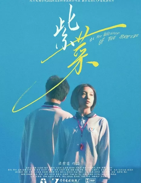 В шепоте ветерка / In the Whisper of the Breeze  /  紫菜