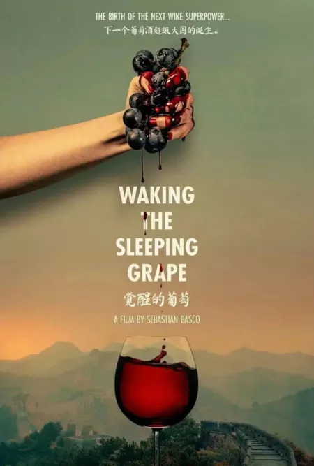 Фильм Пробуждение спящей виноградины / Waking the Sleeping Grape  /  觉醒的葡萄