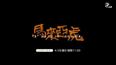 Фильм Инновационная история: тигр-изгой / Innovative Story: A Misfit Tiger  /  公視學生劇展－馬來亞虎