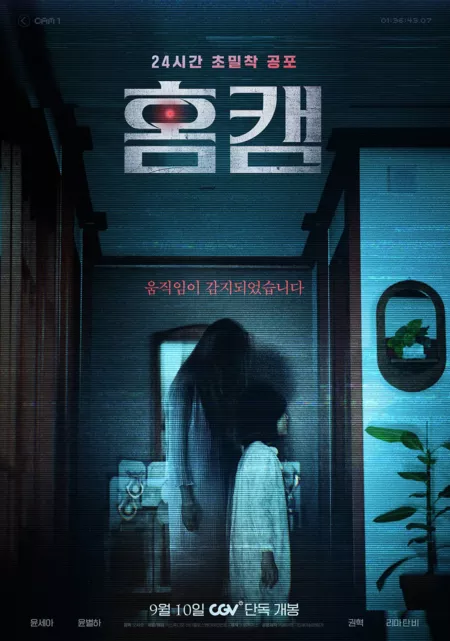 Фильм Камера видеонаблюдения / Homecam  /  홈캠