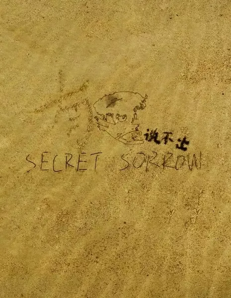 Тайная печаль / Secret Sorrow  /  有K说不出