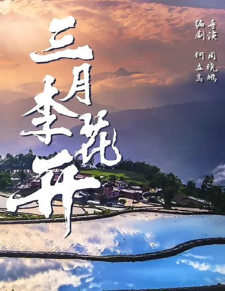 Слива цветет в марте / Plum Blossom in March / 三月李花开