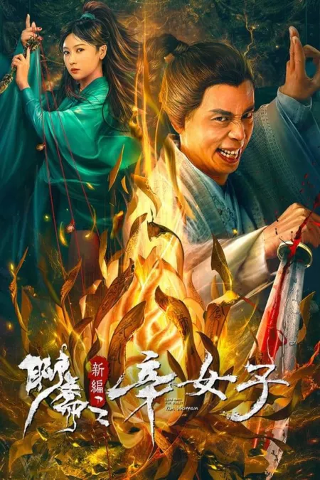 Фильм История о призраках: Женщина с секретом / Secret Woman / 聊齋新編之辛女子