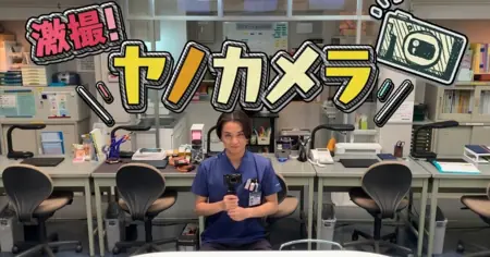 Фильм Ura Jieshonhausu  /  裏ジエーションハウス