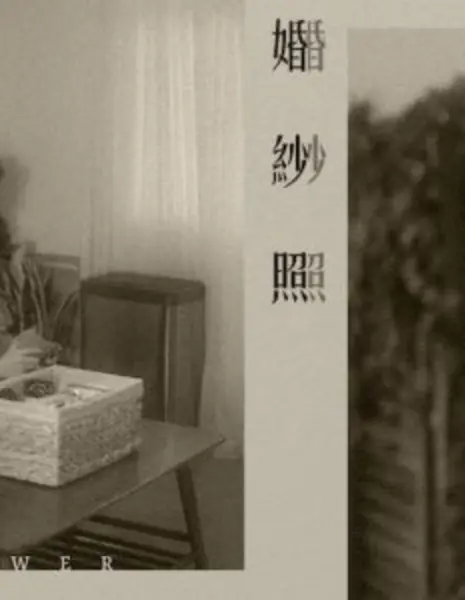 Ответ / The Answer  /  婚紗照