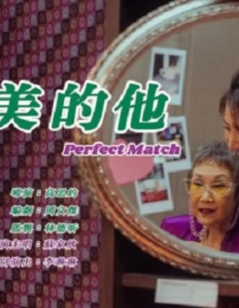 Идеальная пара / Perfect Match  /  完美的他