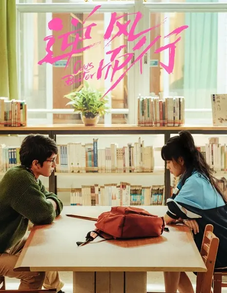 Определитель коэффициентов / Odds Beater  /  逆风而行