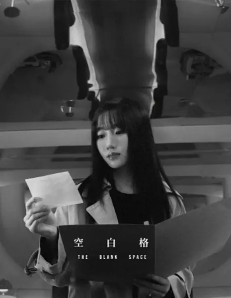 Пустое пространство / The Blank Space /  空白格