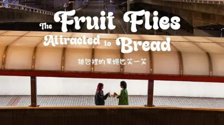 Фильм Фруктовые мушки, летящие на хлеб / The Fruit Flies Attracted to Bread /  麵包裡的果蠅也笑一笑