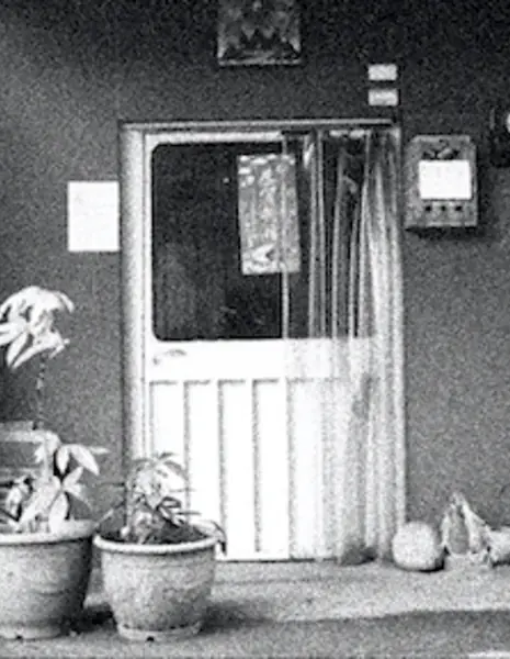 Чжэнь Чжэнь / Zhen Zhen /  蓁蓁