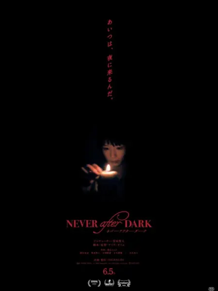 Фильм Никогда после захода солнца / Never after Dark /  Never After Dark