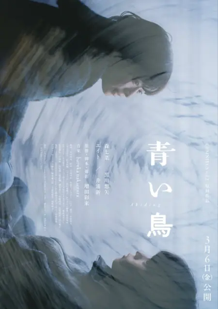 Фильм Непоколебимость / Abiding /  青い鳥