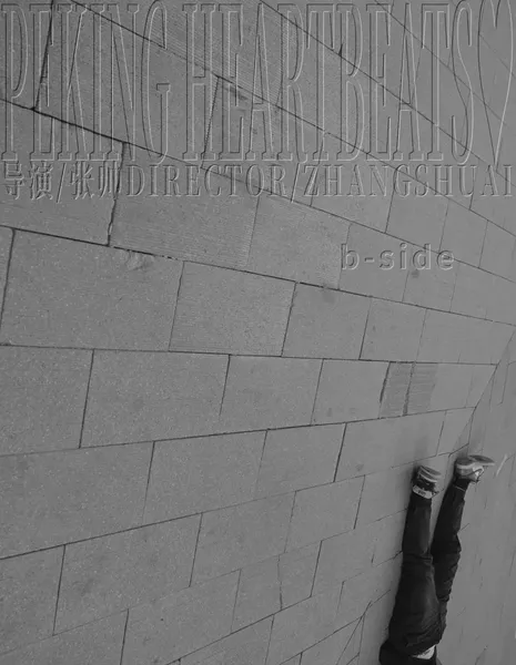  Сторона B «Пекинское сердцебиение» / Peking Heartbeats B-Side  /  2022年北京部分地区部分青年生活状况观察报告 b-side