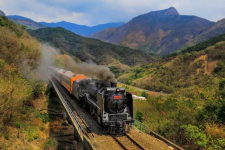 Фильм В поезде / On the Train /  南方, 寂寞鐵道