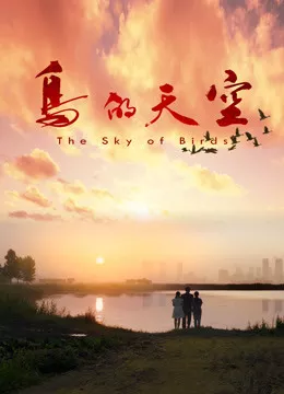 Фильм Птицы в небе / The Sky of Birds / 鳥的天空