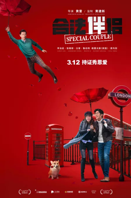 Фильм Особая пара / Special Couple / 合法伴侶