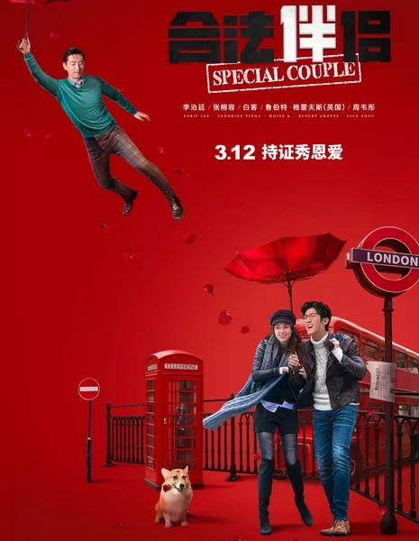 Особая пара / Special Couple / 合法伴侶