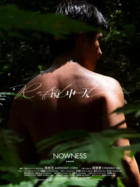 Фильм Отражение / Reflection  /  镜中人