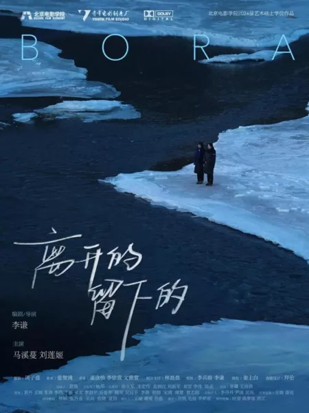 Фильм Бора / Bora  /  离开的，留下的